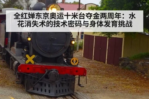 全红婵东京奥运十米台夺金两周年：水花消失术的技术密码与身体发育挑战